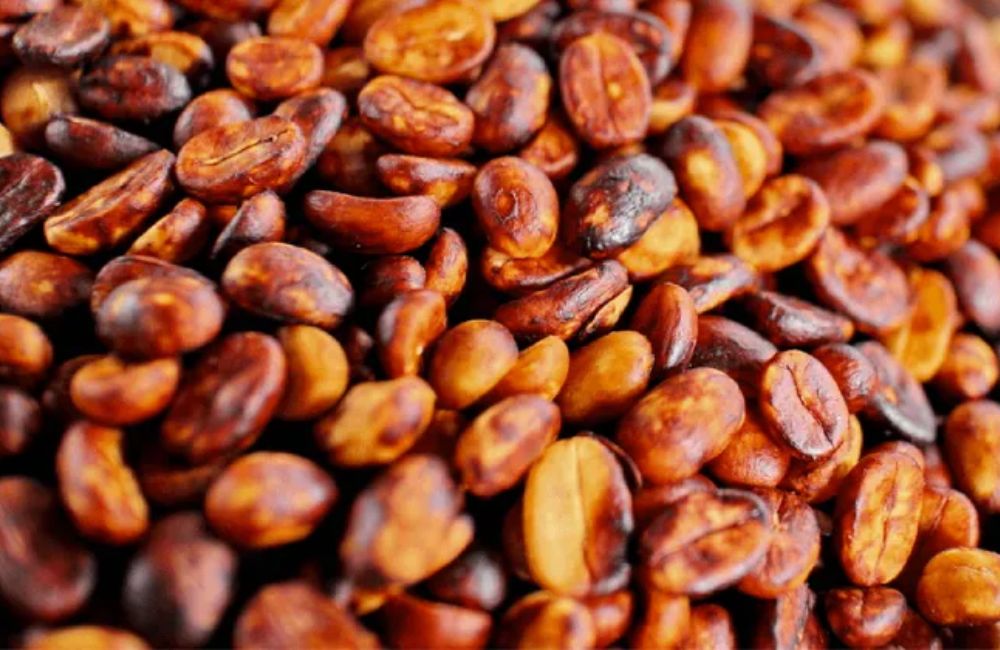 Qué es el café proceso honey red