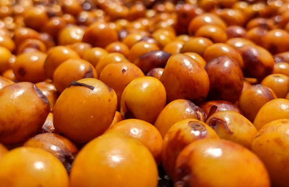 blog-ineffablecoffee-3 Blog Ineffable Coffee - Café Geisha Alto la estrella - Costa Rica