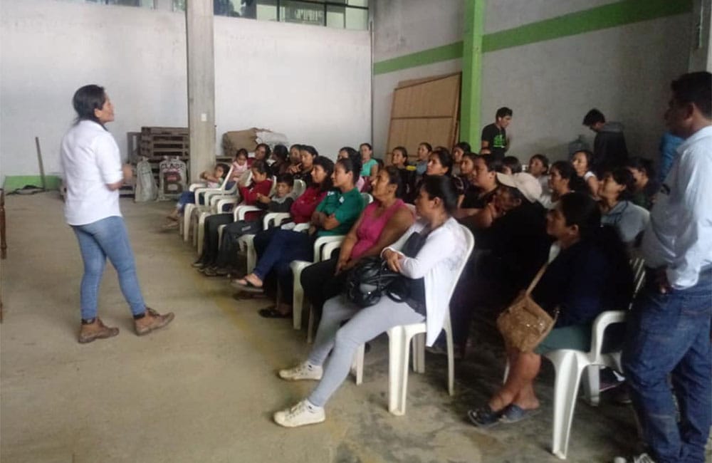 El Palto Mujeres Perú café de especialidad El Palto Mujeres Perú café de especialidad cosecha 2020