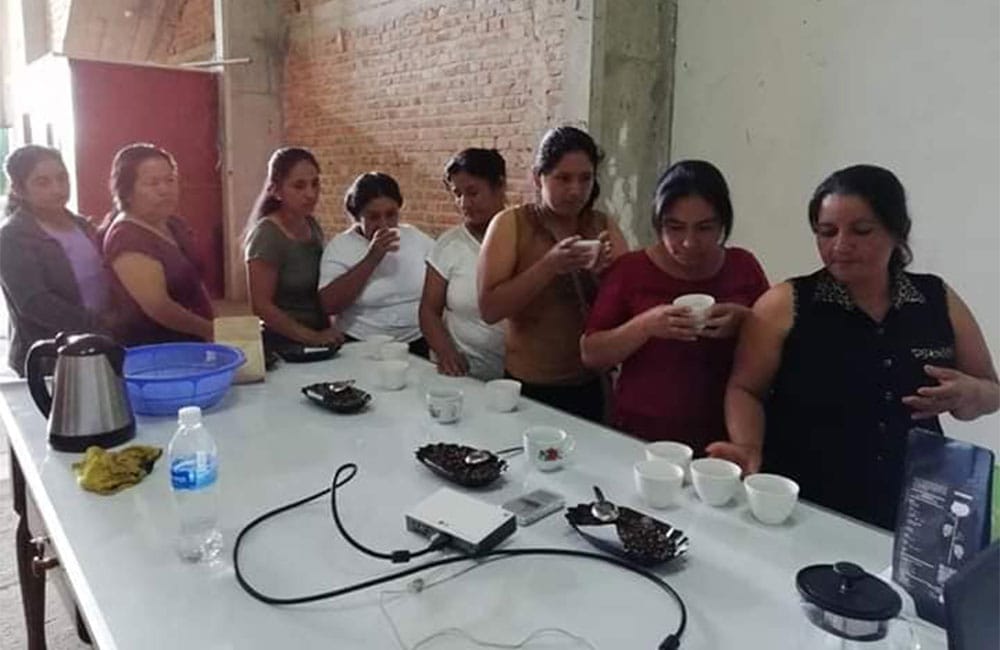 El Palto Mujeres Perú café de especialidad El Palto Mujeres Perú café de especialidad cosecha 2020