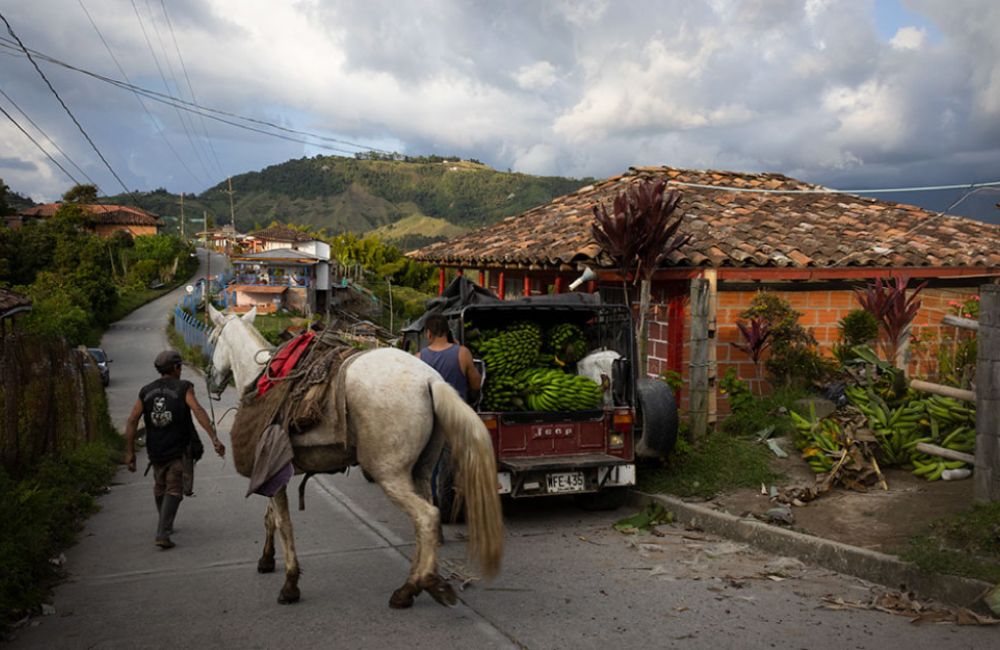 blog-ineffablecoffee-roasters-cafe-colombiano 8 El café colombiano de especialidad está ganando peso en la industria del país.