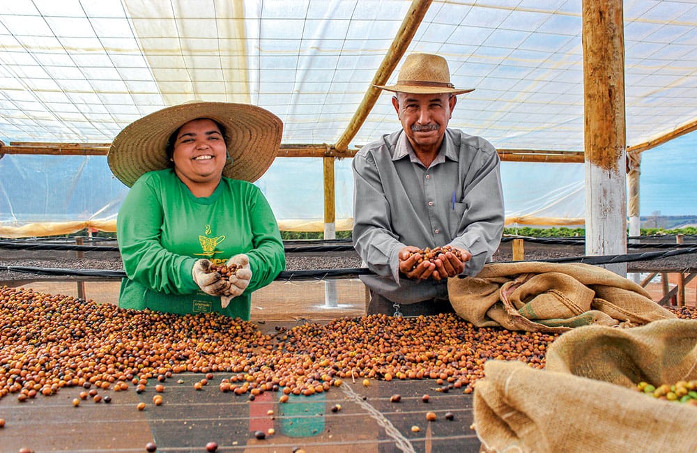 Café São Silvestre Carbonic 168h de Brasil un café de competición Café São Silvestre Carbonic 168h de Brasil un café de competición