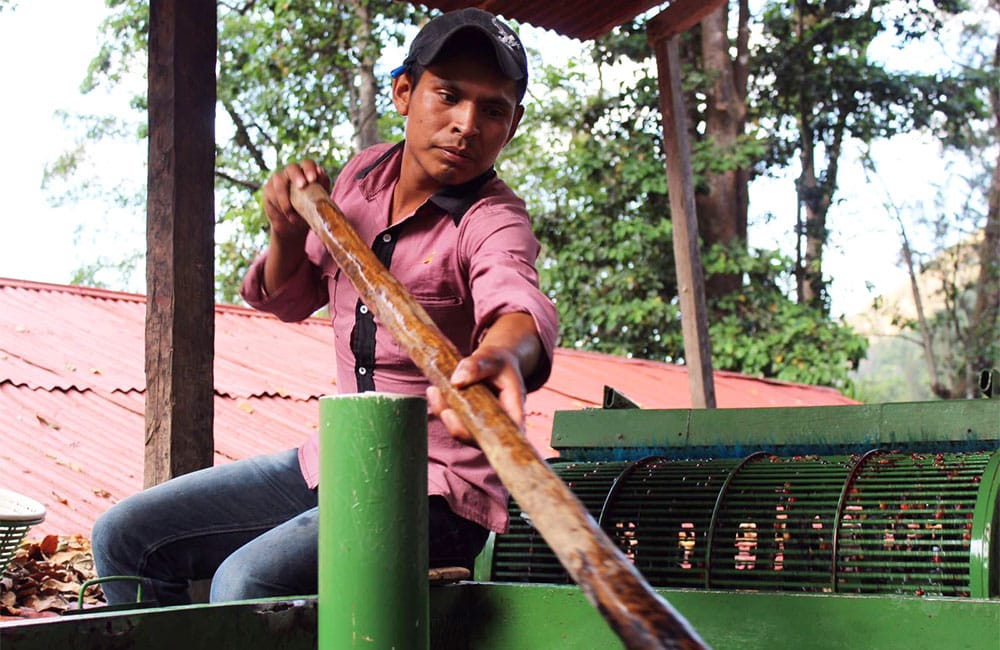 Qué es el café de finca y por qué lo deberías probar Qué es el café de finca y por qué lo deberías probar