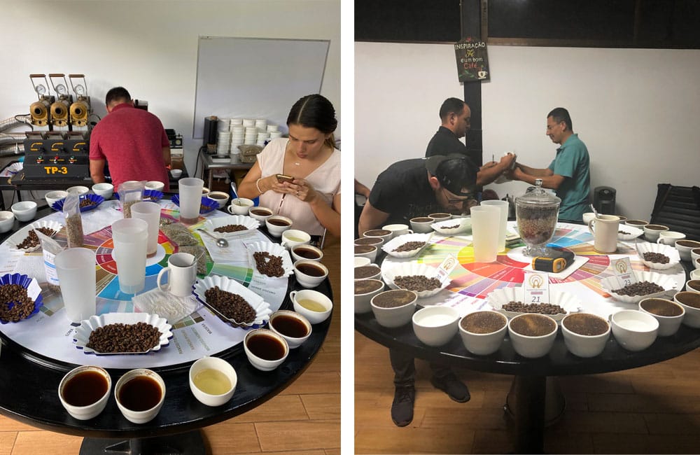 Blog Ineffable Coffee - Café Geisha Alto la estrella - Costa Rica