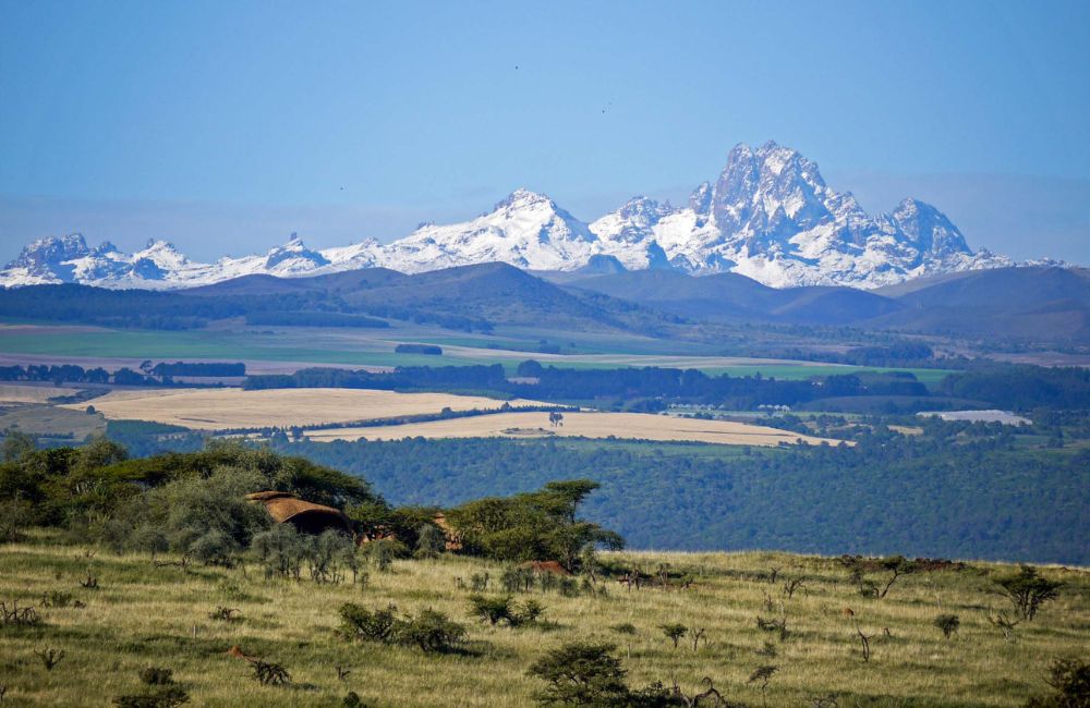 Café kenia de especialidad cultivado en las laderas del Mount Kenya - Kenya Coffee