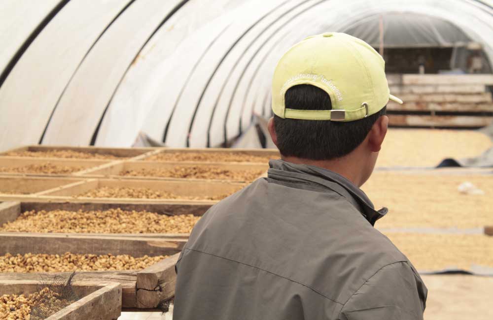 blog-ineffablecoffee-roasters-cafe-kerinci-anaerobico-168h-4 Yenny Esperanza - Colombia - Thermal Shock