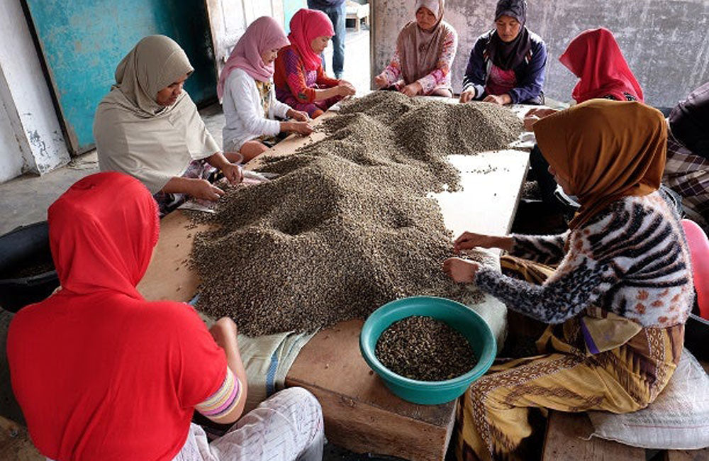 blog-ineffablecoffee-roasters-cafe-kerinci-anaerobico-168h-8 Yenny Esperanza - Colombia - Thermal Shock