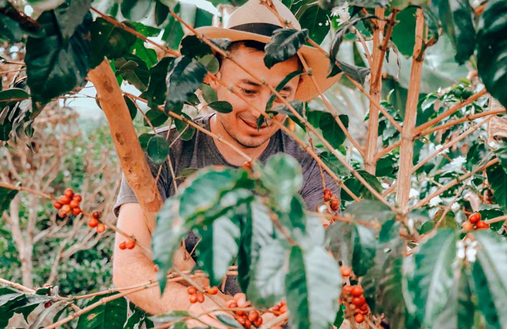 blog-ineffablecoffee-roasters-cafe-yenny-esperanza-1 Yenny Esperanza - Colombia - Thermal Shock