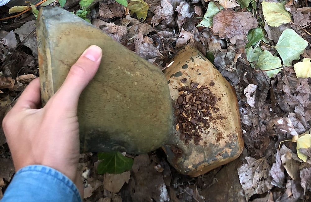 Moliendo café con dos piedras por habernos olvidado el molinillo Cafeteras de émbolo