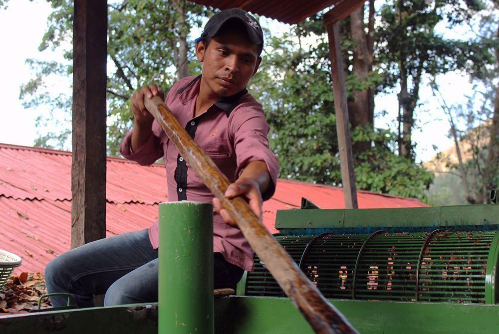 La Bolsa, más que un café de especialidad. La Bolsa compitió en el Cup Of Excellence en 2002 y quedó segundo