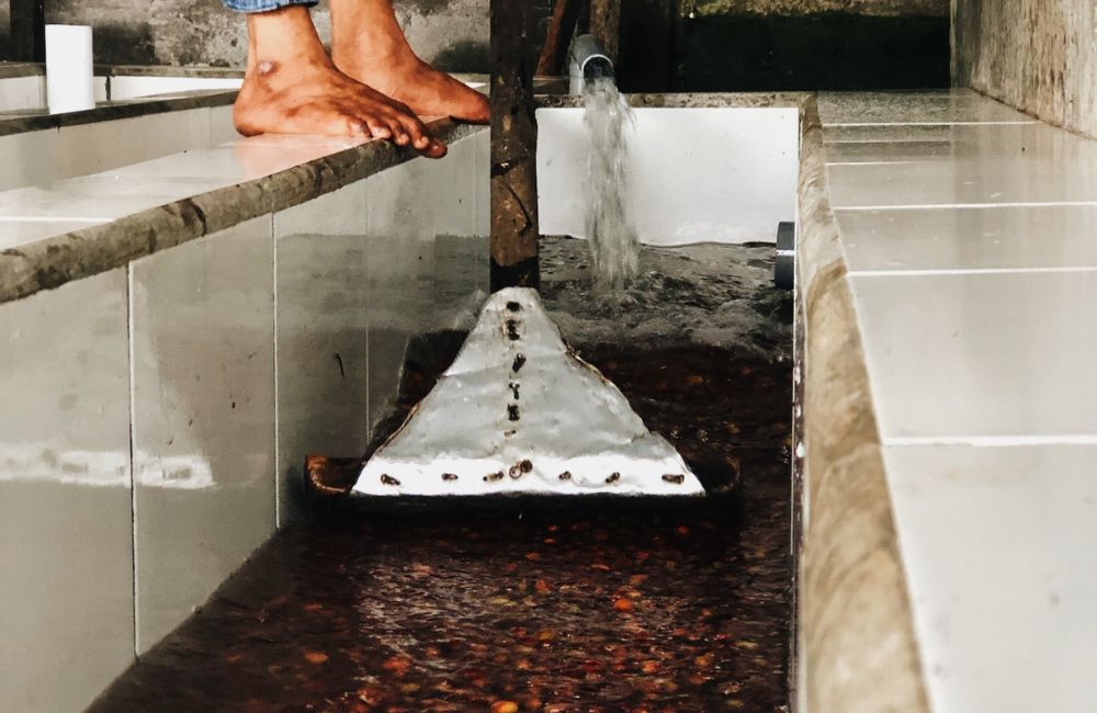 blog-ineffablecoffee-roasters-maceración-carbónica-04 Un café de maceración carbónica proveniente de Indonesia