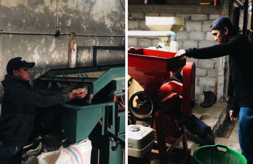 blog-ineffablecoffee-roasters-maceración-carbónica-05 Un café de maceración carbónica proveniente de Indonesia