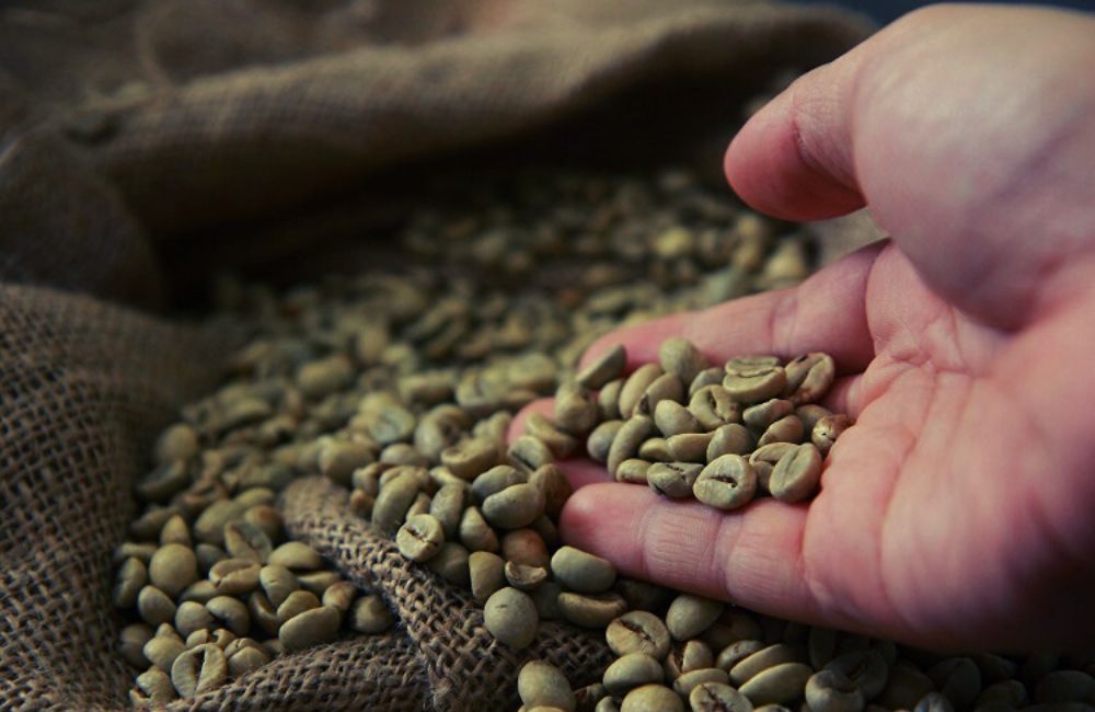 El Café descafeinado Swiss Water, descafeinado con agua u osmosis El Café descafeinado Swiss Water, descafeinado con agua u osmosis