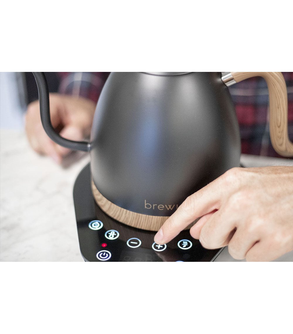 Kettle Brewista Artisan