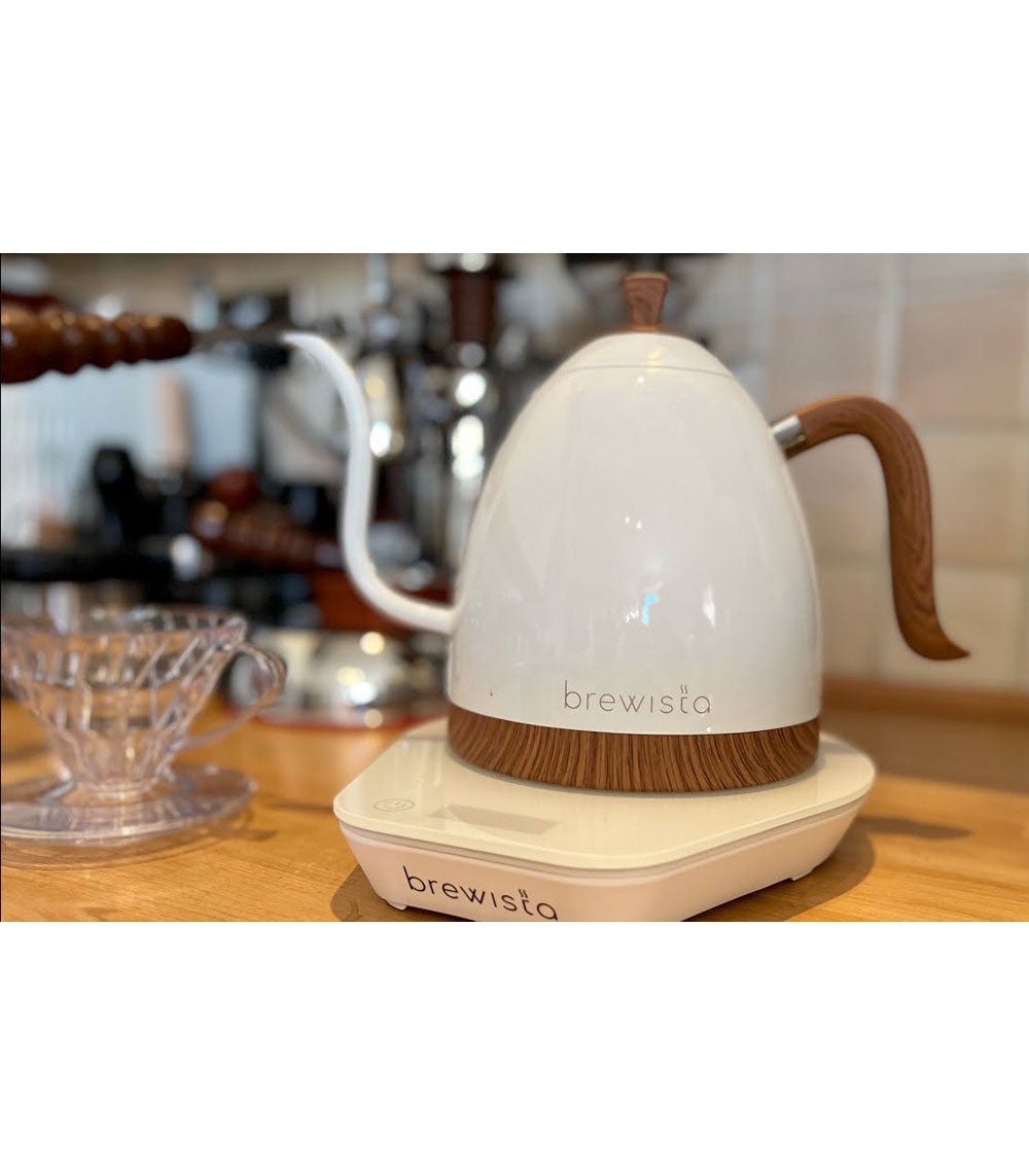 Brewista Artisan White Gooseneck Electric Kettle
