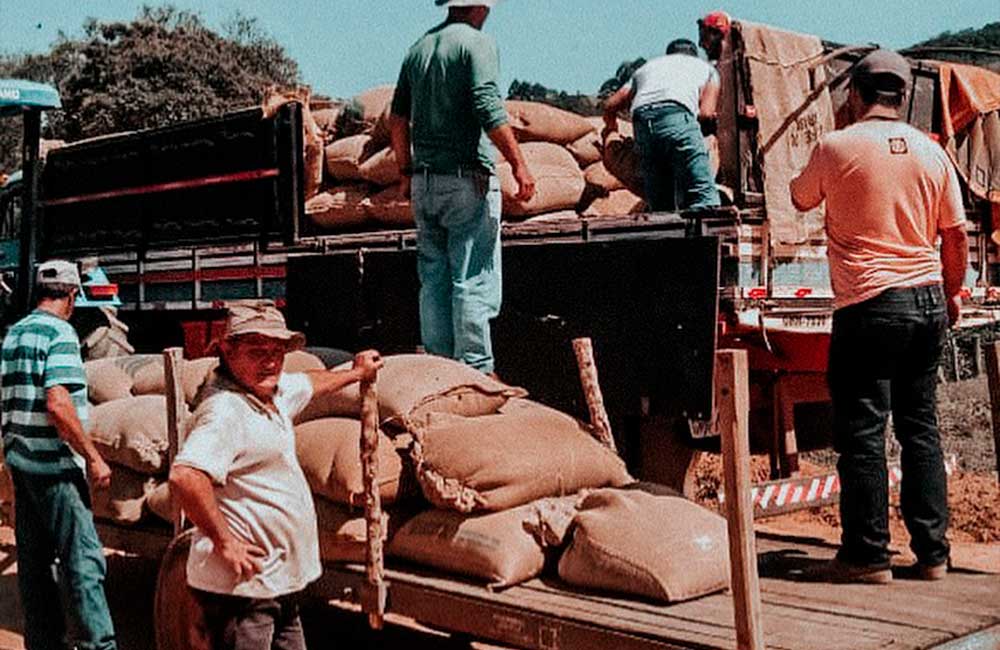 pequenos-productores-de-cafe-de-especialidad-agrupando-sacos-de-cafe-de-brasil Cultivadores de café de especialidad